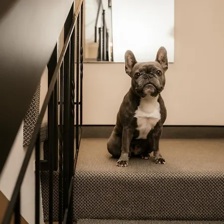 Emsquartier Apartmán *